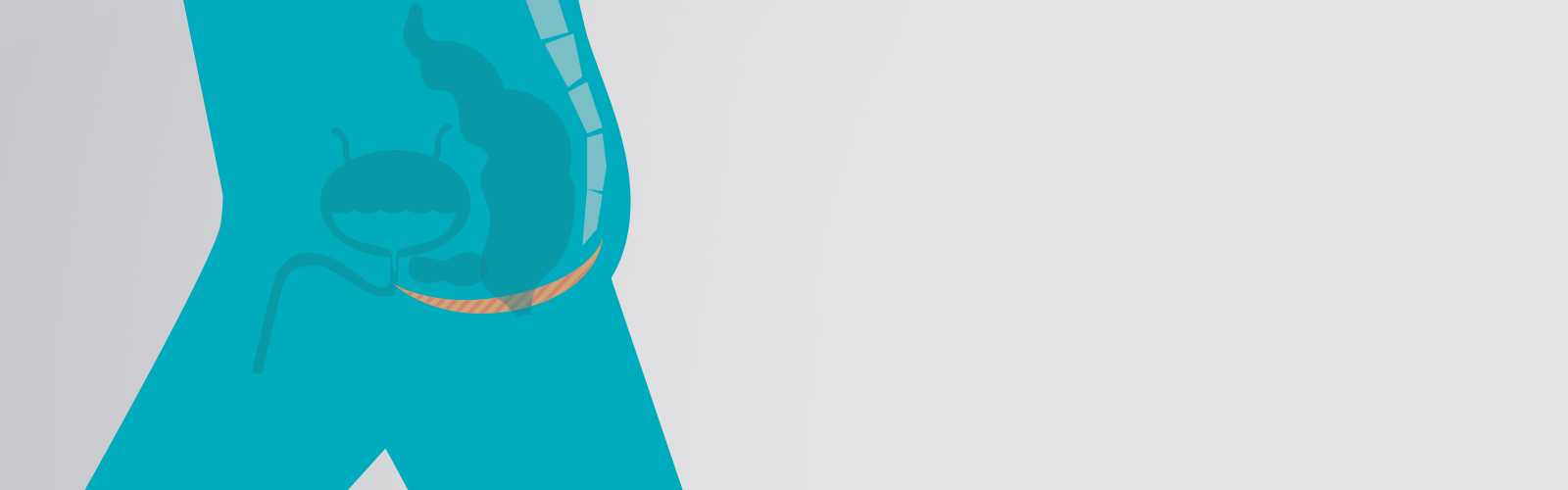 Illustrated icon of the bladder Illustrated icon of the bladder